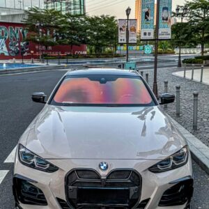 AERO CARBON - BMW 4 SERIES G22 / G23 CSL CARBON FIBRE MESH GRILLE