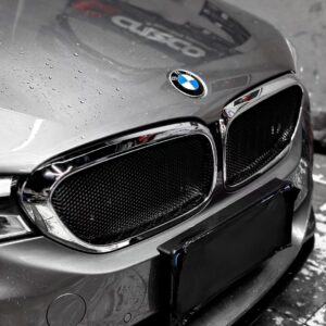 AERO CARBON - BMW 5 SERIES G30 ABS GLOSS BLACK MESH GRILLE