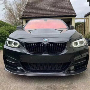 AERO CARBON - BMW F22 2 SERIES CARBON FIBRE FRONT LIP EXO STYLE