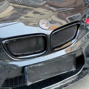 AERO CARBON - BMW M2 F87 ABS GLOSS BLACK MESH GRILLE
