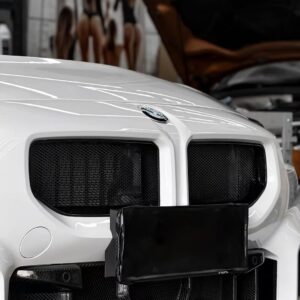 AERO CARBON - BMW M2 G87 ABS GLOSS BLACK MESH GRILLE