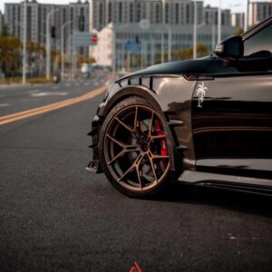 AE DESIGN - AUDI RS5 B9.5 DRY CARBON SIDE FENDERS