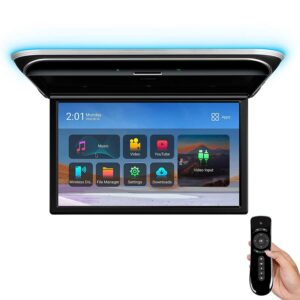 Android Rear Entertainment Car Roof Mount Monitor