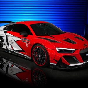 DARWINPRO - AUDI R8 COUPE / SPYDER 2016-18 IMPII CARBON FIBRE SIDE SKIRTS