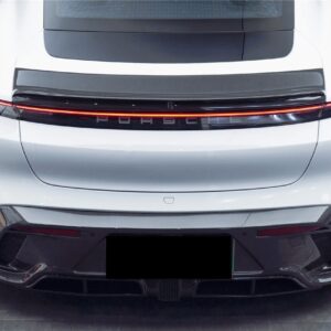 DARWINPRO - PORSCHE TAYCAN 4/4S/GTS/TURBO DRY CARBON FIBRE CABO STYLE SPOILER