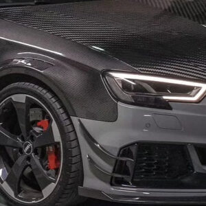 KARBEL - AUDI RS3 8V CARBON FIBRE FRONT CANARDS