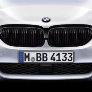 5 Series G30/G31 Black Grille - OEM