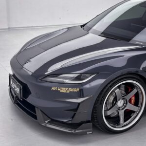KARBEL - TESLA MODEL 3P PERFORMANCE HIGHLAND DRY CARBON FIBER FRONT VALANCES